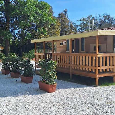 Mobile Home Viareggio - Including Airco- Camping Paradiso - G008 Eksteriør bilde