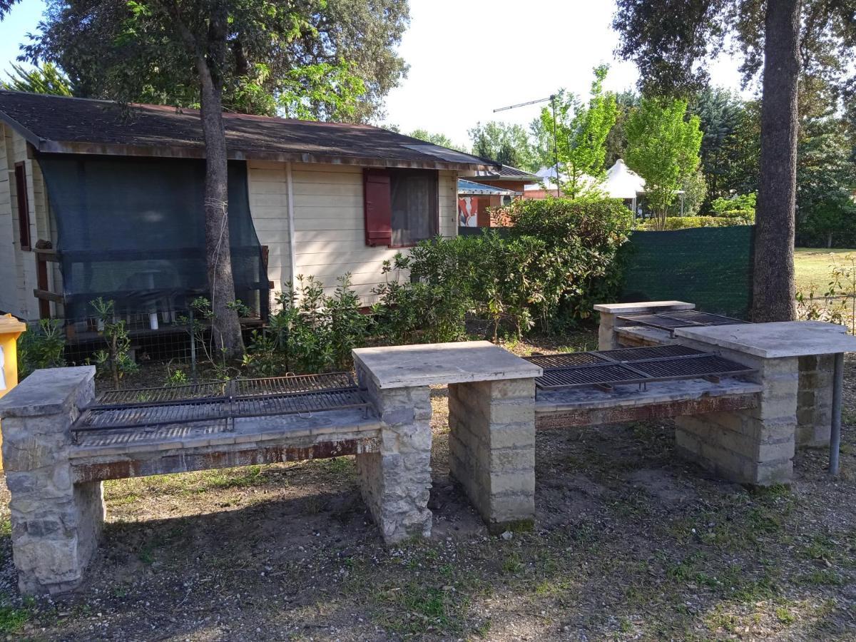 Mobile Home Viareggio - Including Airco- Camping Paradiso - G008 Eksteriør bilde